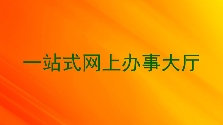 一站式网上办事大厅