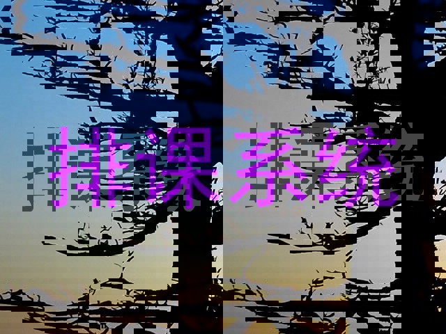 排课系统
