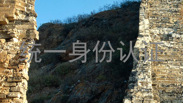 统一身份认证