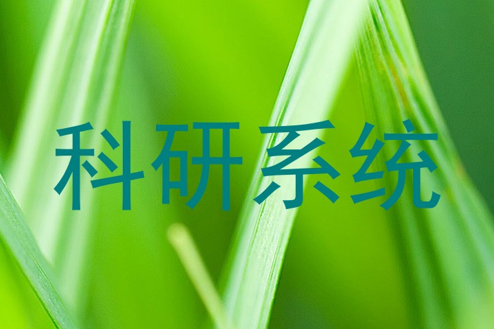 科研系统