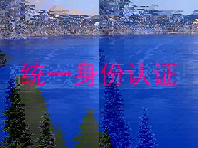 统一身份认证