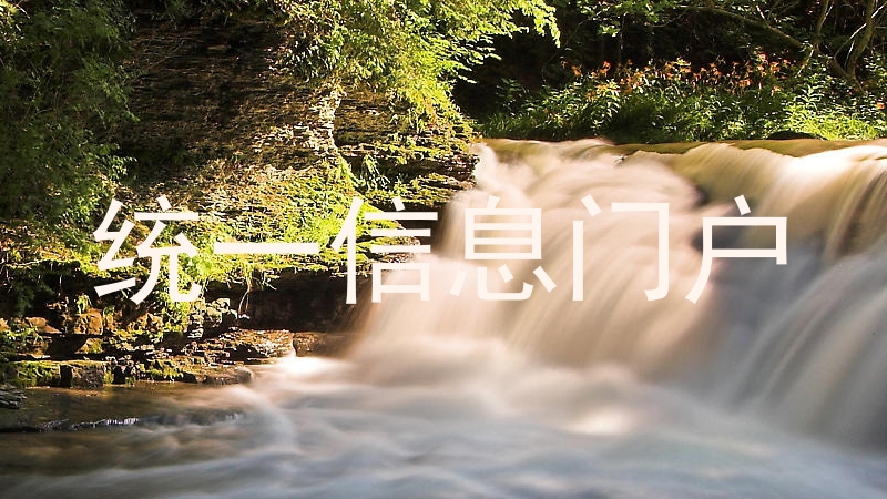 统一信息门户
