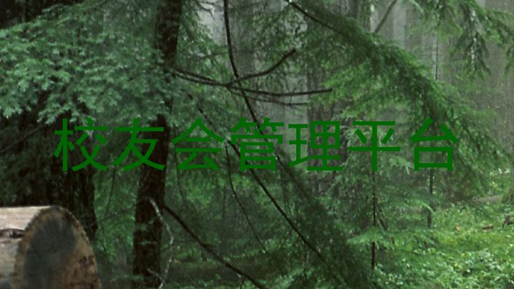 校友会管理平台