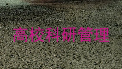 高校科研管理