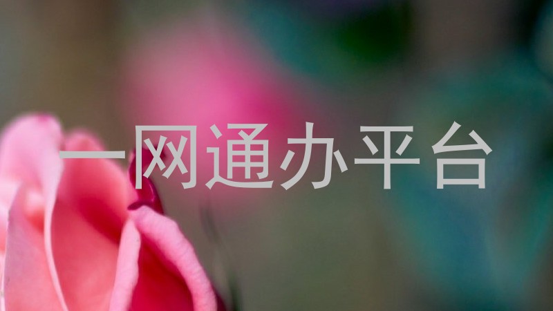 一网通办平台