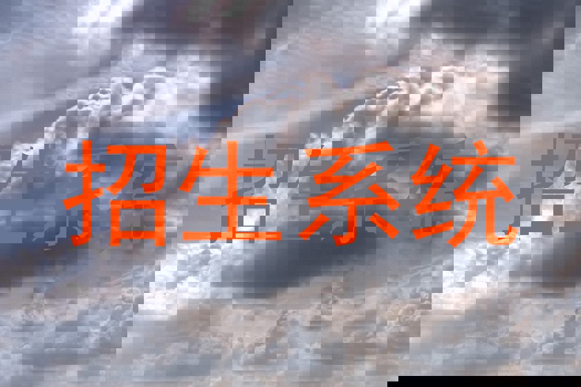 招生系统