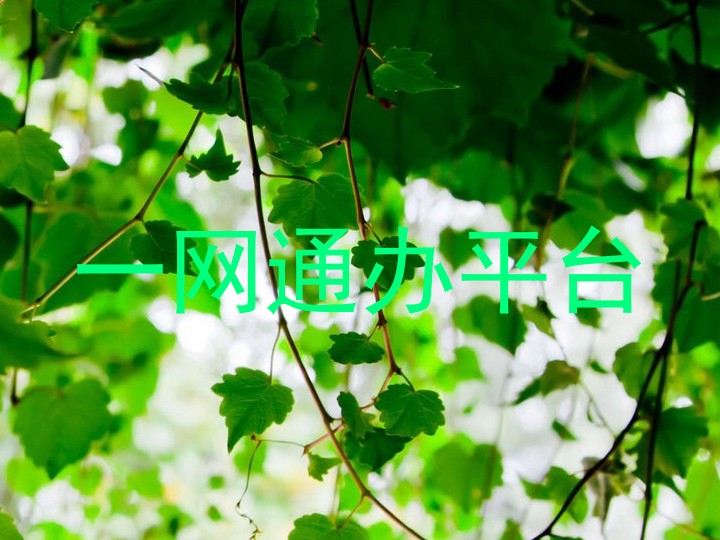 一网通办平台