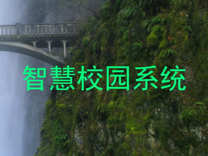 智慧校园系统