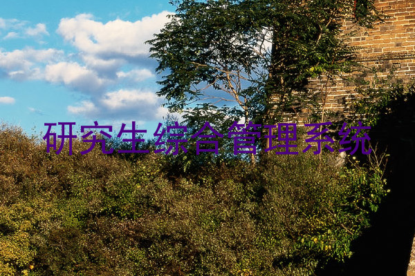 研究生综合管理系统