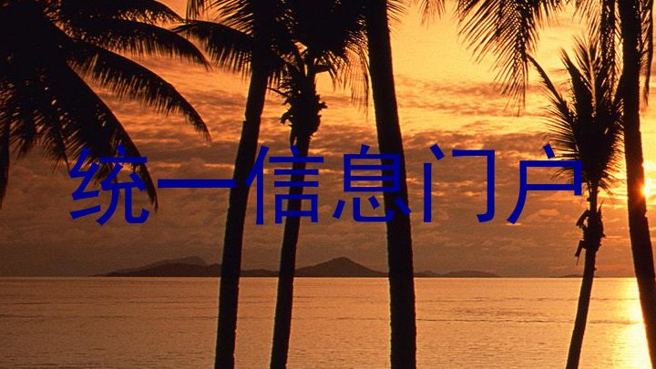 统一信息门户