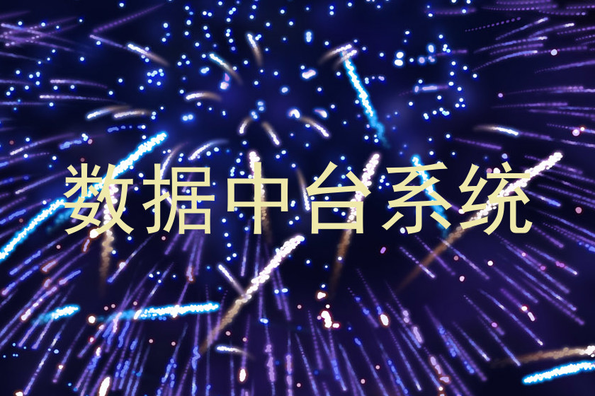 数据中台系统