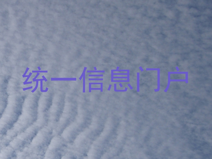 统一信息门户