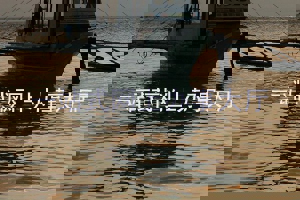 一站式网上办事大厅