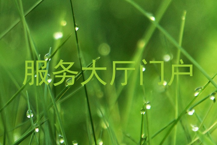 服务大厅门户