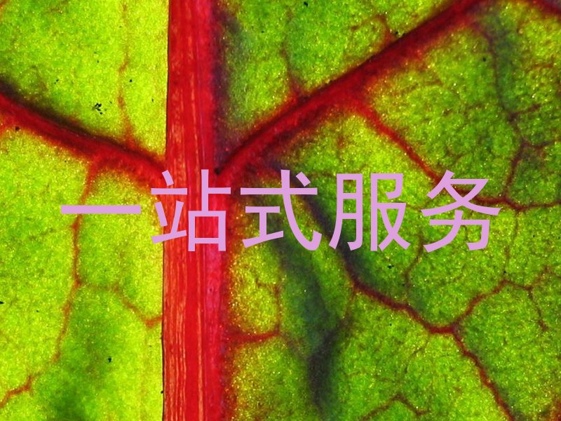 一站式服务