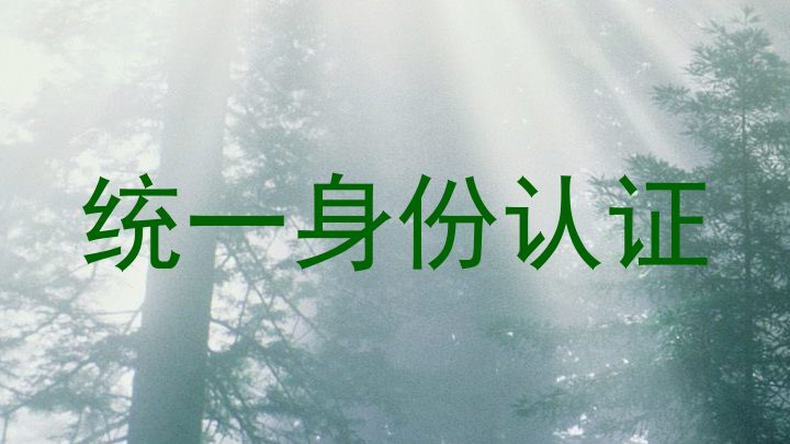 统一身份认证