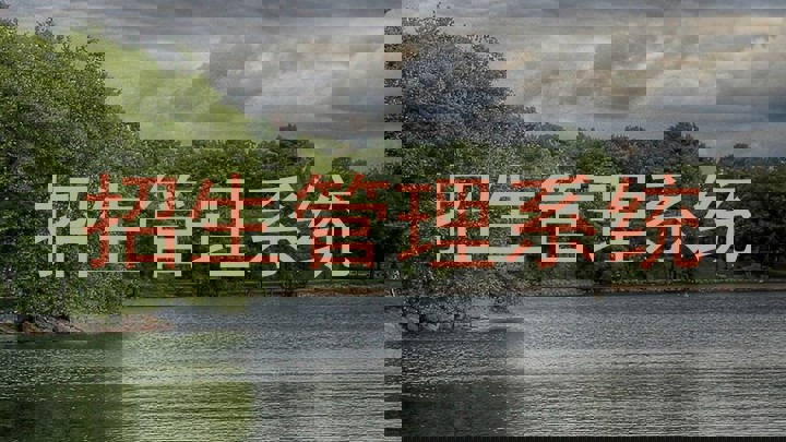 招生管理系统