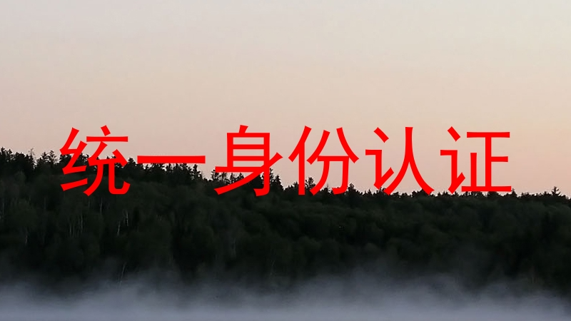 统一身份认证