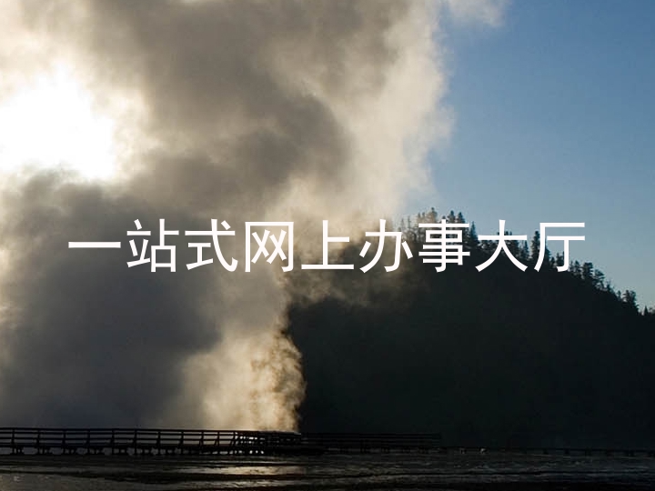 一站式网上办事大厅