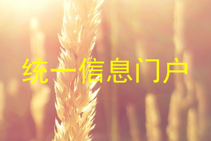 统一信息门户