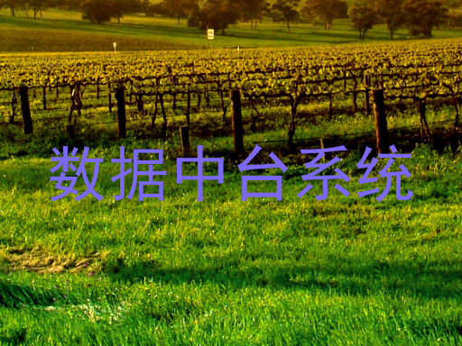 数据中台系统