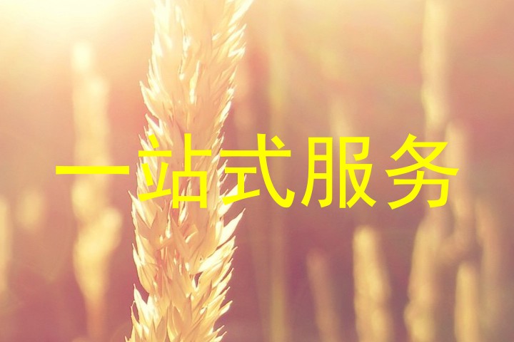 一站式服务
