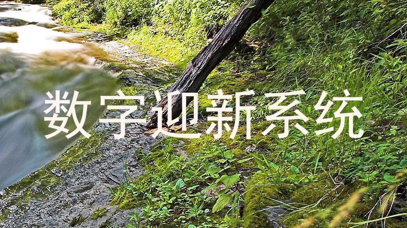 数字迎新系统