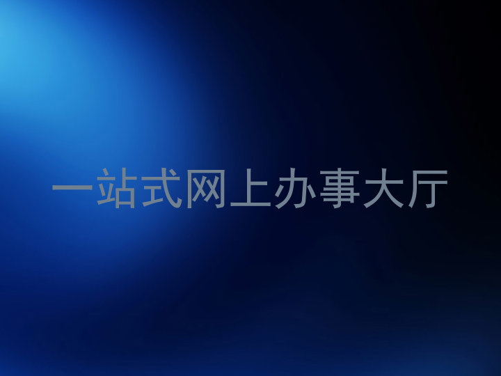 一站式网上办事大厅