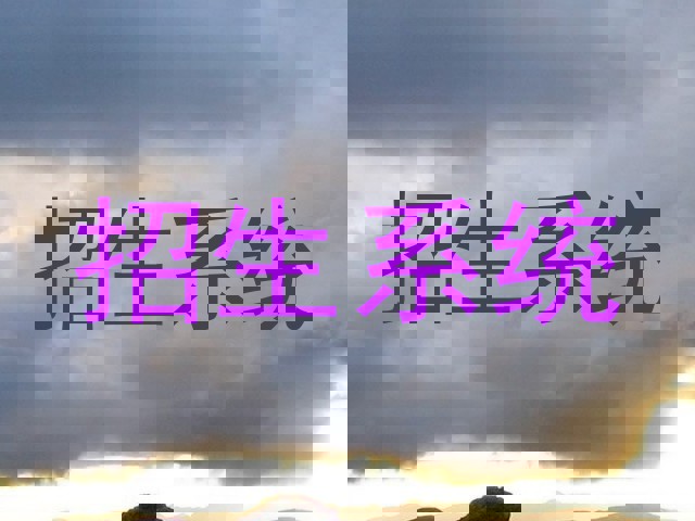 招生系统