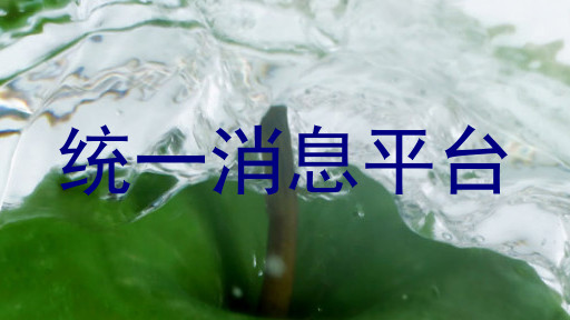 统一消息平台