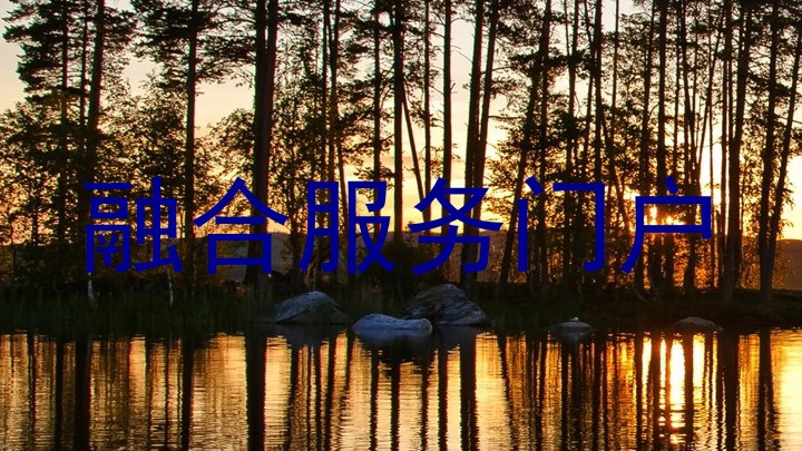 融合服务门户