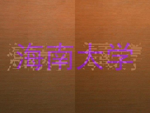 海南大学