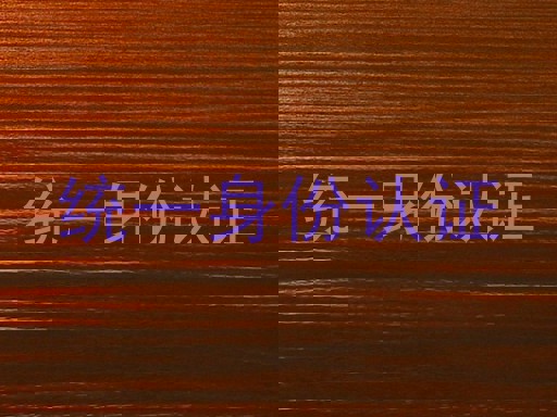 统一身份认证