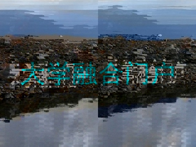 大学融合门户