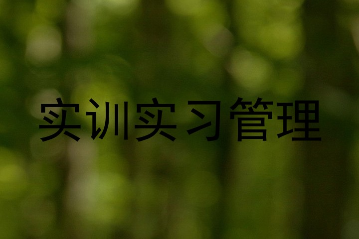 实训实习管理