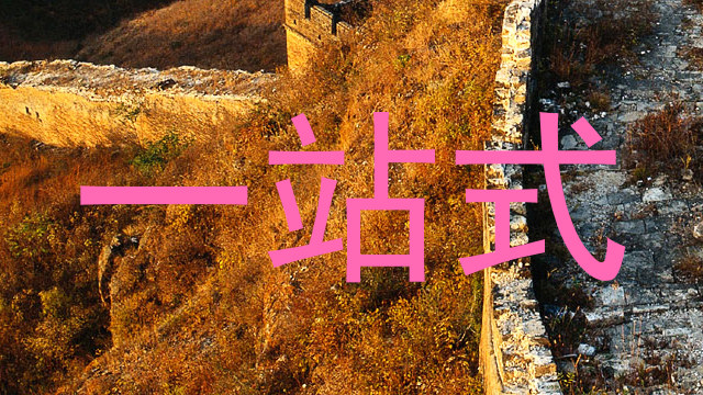 一站式