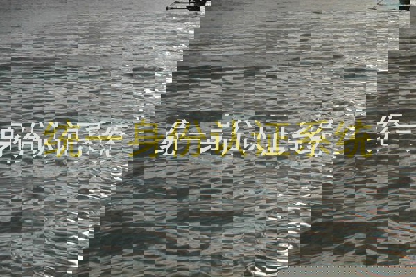 统一身份认证系统