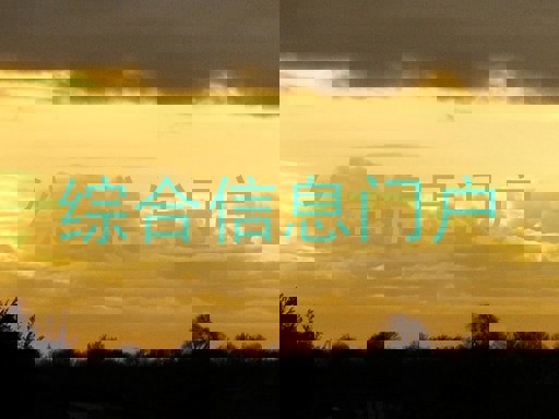 综合信息门户