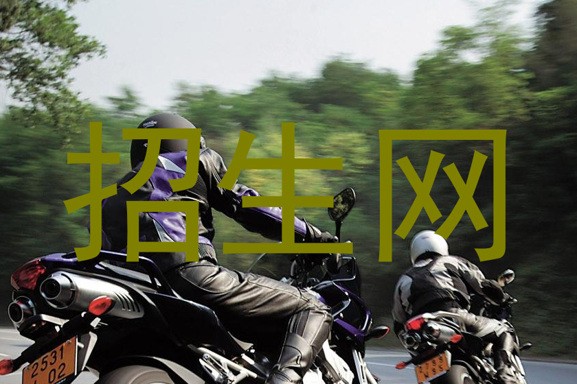 招生网