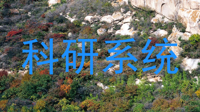科研系统