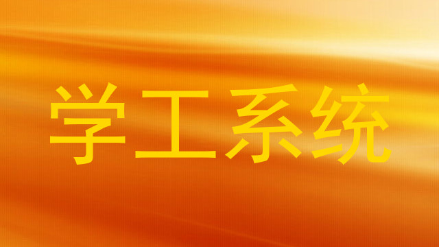 学工系统