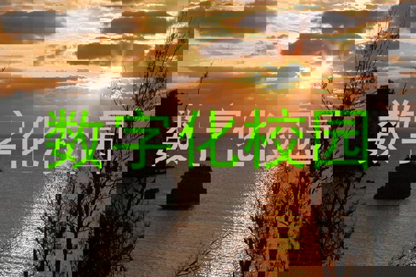 数字化校园