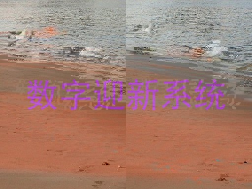 数字迎新系统