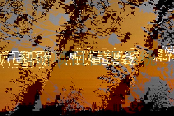 科研项目管理系统