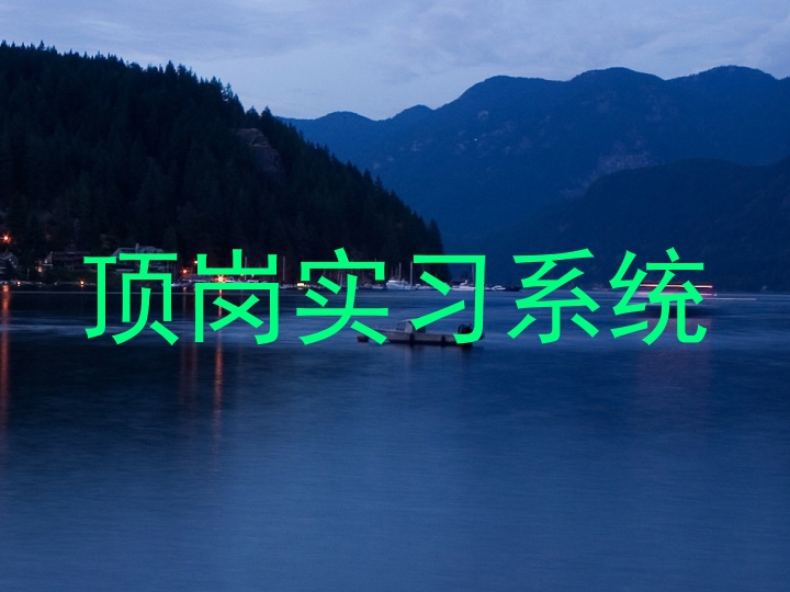 顶岗实习系统