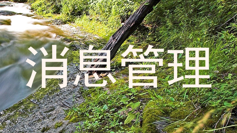 消息管理