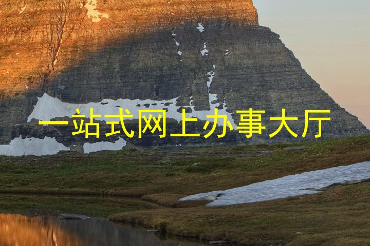 一站式网上办事大厅