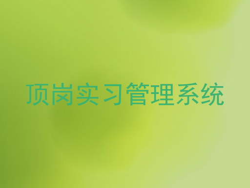 顶岗实习管理系统