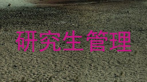 研究生管理