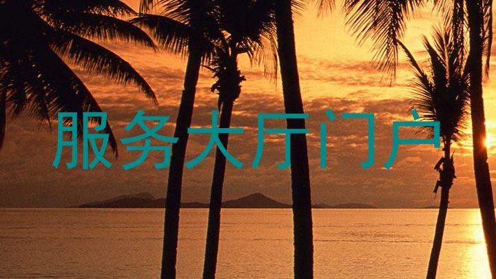 服务大厅门户